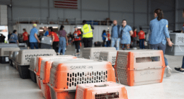 TheSatoProject - @TheSatoProject Twitter