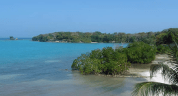 Parques Nacionales Naturales de Colombia - @ParquesColombia Twitter