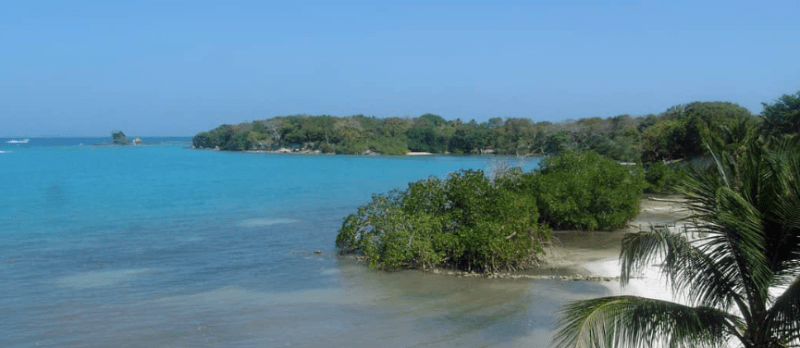 Parques Nacionales Naturales de Colombia - @ParquesColombia Twitter