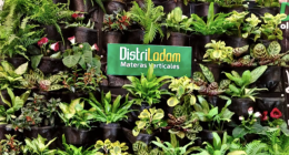 Asohofrucol - @Asohofrucol Twitter