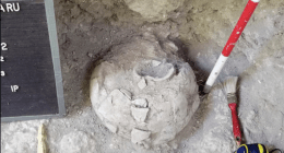 adio Ñandutí - @nanduti Twitter