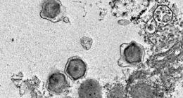 Enrique Coperías - @CienciaDelCope Twitter