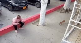 Plataforma ALTO - @PlataformaALTO Twitter