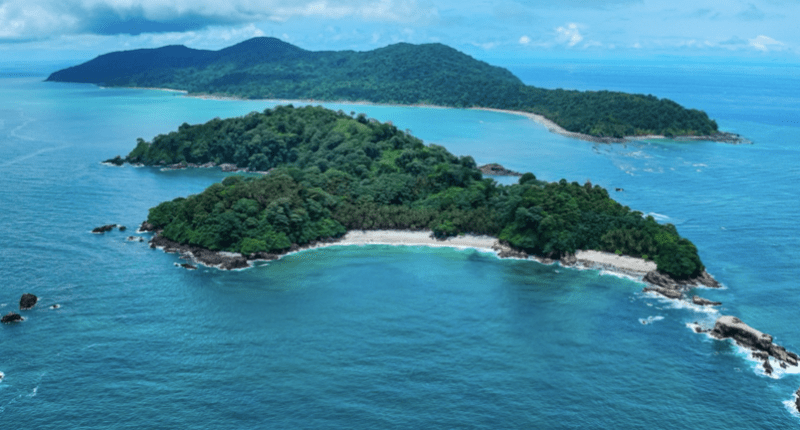 Parques Nacionales Naturales de Colombia - @ParquesColombia Twitter