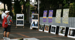 misiononucol - @ misiononucol Instagram