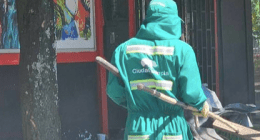 TSM Noticias - @tsmnoticias Twitter