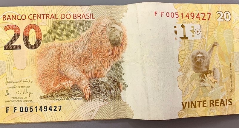 Billete brasileño de 20 reales del Banco Central do Brasil, con un mono león dorado