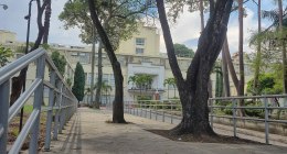 Fachada principal del Hospital Universitario del Valle en Cali, con árboles y barandas de acceso