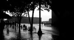 Plaza con el Capitolio Nacional al fondo, bajo la lluvia, en blanco y negro; siluetas de personas con paraguas