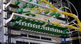Cables de fibra óptica amarillos conectados a un equipo de red en un rack