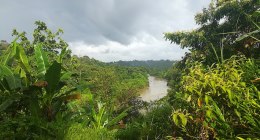 Selva húmeda del Pacífico colombiano en Guapi, con un río de agua marrón y nubes de tormenta