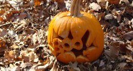 Calabaza tallada con cara de Halloween sobre hojas secas