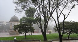Parque de los Periodistas en Bogotá bajo la lluvia, con árboles, pasto mojado y un kiosco de piedra