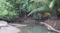 Río que desemboca en el Pacífico, entre selva, en Nuquí (Chocó)