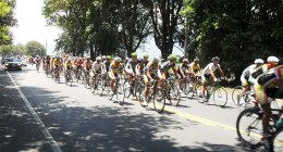 Pelotón de la Vuelta a Colombia 2012 avanzando por una carretera arbolada, con ciclistas a distancia
